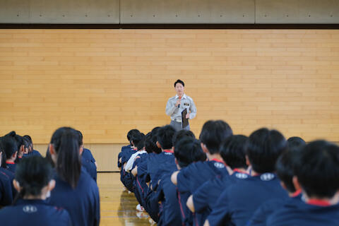 2505291.jpg