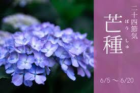 ダウンロード (11).jpg